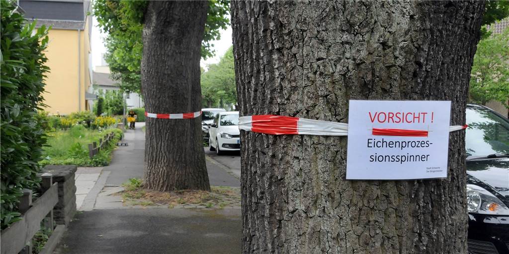 Gefährliche Raupenplage: Eichenprozessionsspinner verbreitet sich rasant Vor dem gefährlichen Eichenprozessionsspinner warnen Schilder an der Ostberger Straße zwischen den Einmündungen Hermannstraße und Dieckerhofsweg.