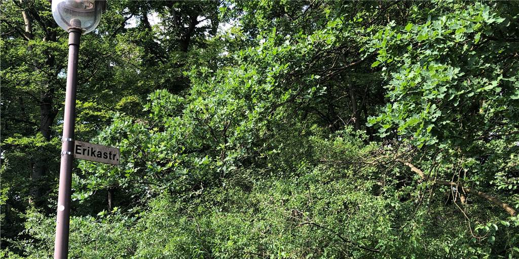 Bauprojekt in Sythen: Familien wohnen fast wie im Wald Bauprojekt in Sythen: Familien wohnen fast wie im Wald