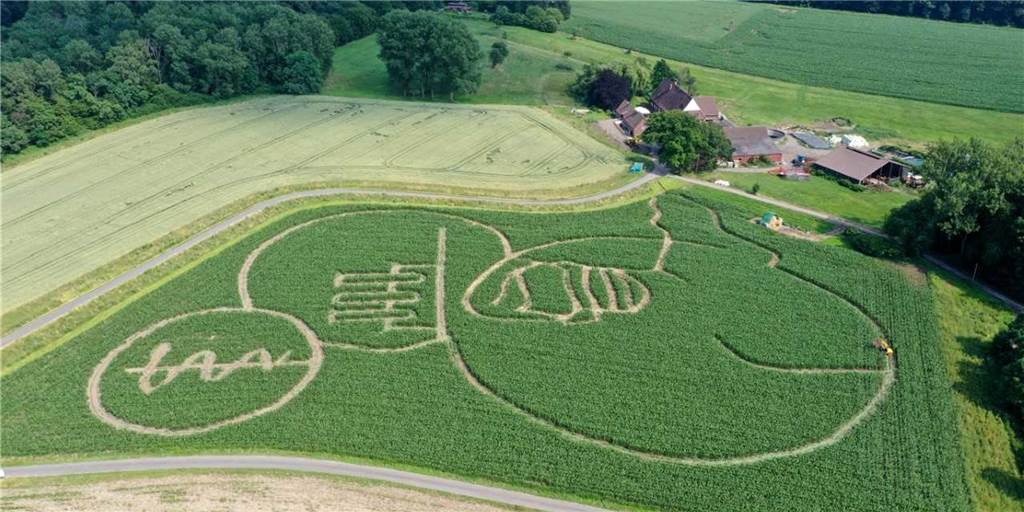 Maislabyrinth in Selm: Hof Lünemann hat Motiv für 2021 fast fertig Das Labyrinth auf dem Hof Lünemann ist fast fertig.
