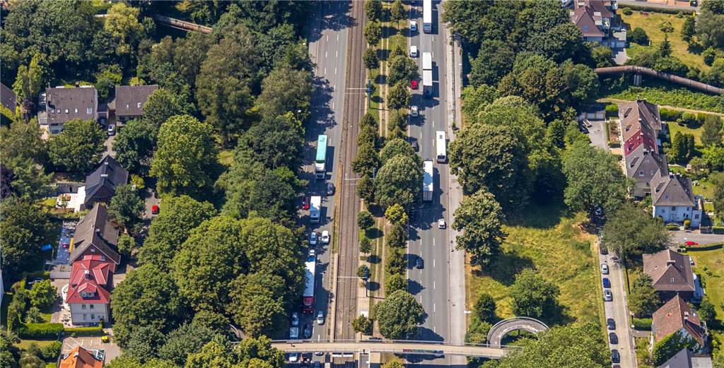 Platanen-Befürworter der B1 – traut euch, mit offenem Visier zu kämpfen Eine Initiative will die Lücken in der Platanen-Allee an der B1 schließen. Weil aber zunächst viele Bäume geopfert werden müssten, agiert sie noch weitgehend im Verborgenen.