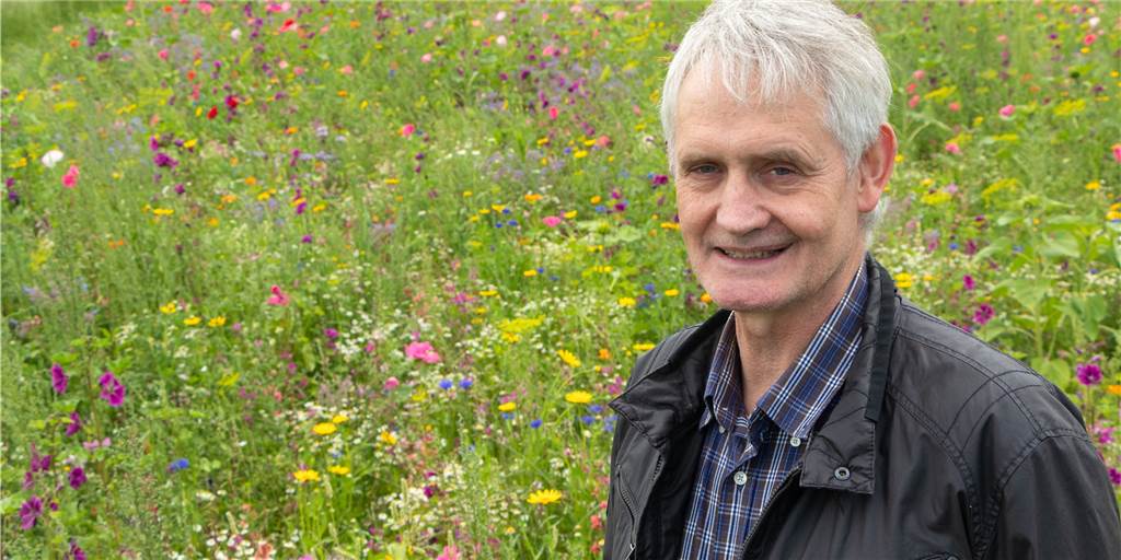 Vredener Landwirte haben 1,5 Hektar an Blühpaten verpachtet Vredener Landwirte haben 1,5 Hektar an Blühpaten verpachtet