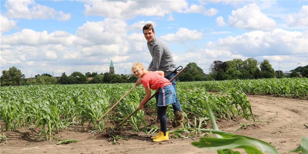 Felix Miermann und seine Cousine geben dem Maislabyrinth den letzten Schliff. Bald können die ersten Besucher kommen.