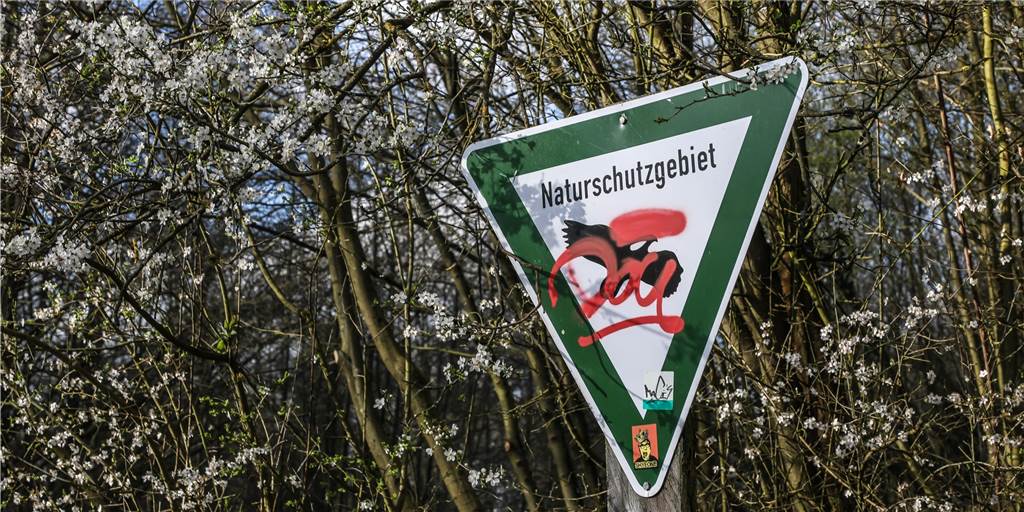 150 Raver feiern illegale Techno-Party im Naturschutzgebiet Die Ruhe in einem Dortmunder Naturschutzgebiet wurde am Wochenende gestört.