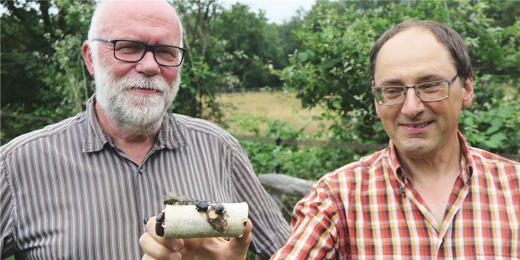 Überraschender Fund: Seltene Käfer-Art in Schermbeck entdeckt Überraschender Fund: Seltene Käfer-Art in Schermbeck entdeckt