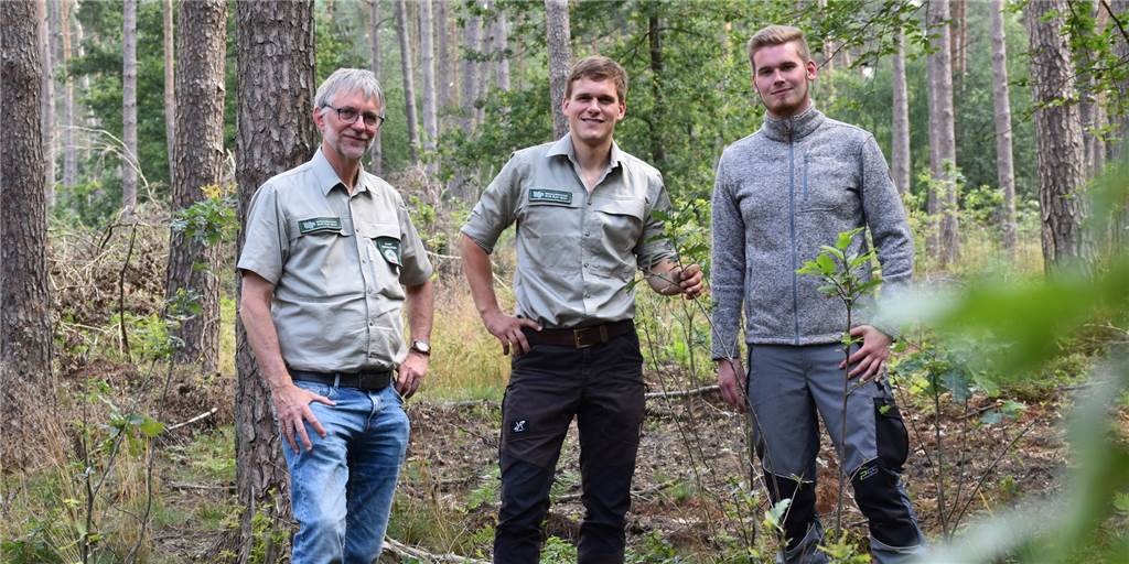 Neuer Revierförster in Dorsten will Borkenkäferplage bekämpfen (v.L) Kersten Blaschczok, Julius Wojda und Julian Demes stehen zwischen den neu gepflanzten Bäumen im Waldrevier Hohe Mark.