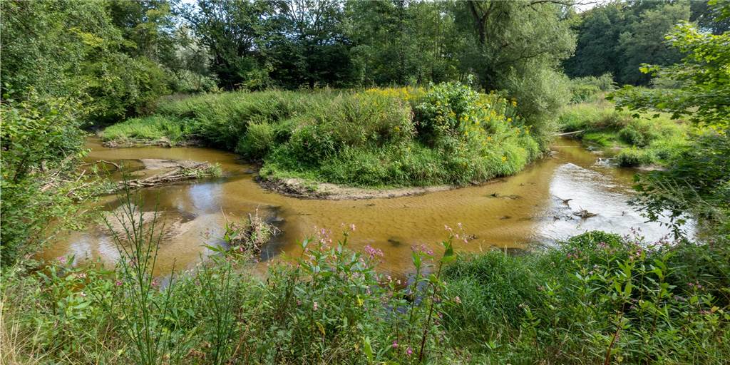 Berkel-Hochwasserschutz: Im November kommt die Großbaustelle Idylle: Eine Berkelschleife zwischen Stadtlohn und Vreden. Damit aus der Idylle möglichst keine Katastrophe entsteht, investiert die Stadt Stadtlohn Millionen Euro in den Hochwasserschutz.