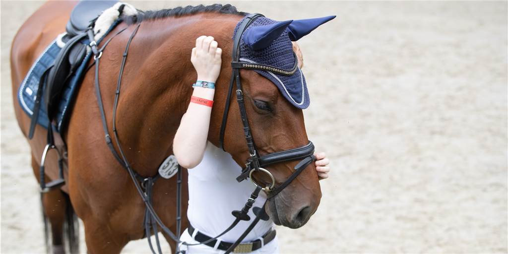 Pferd bricht tot zusammen, Reiterin verletzt sich schwer: „Total traumatisches Erlebnis“ Bei einer Prüfung in Rhynern kam es zu einem schweren Unfall.