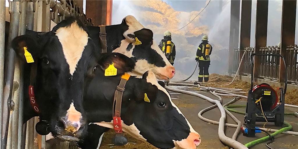 Mit Video: 350 Großballen in Crosewick in Flammen – 200 Rinder in Gefahr Die Feuerwehr rückte dem Brand im Strohlager mit viel Löschwasser zu Leibe.