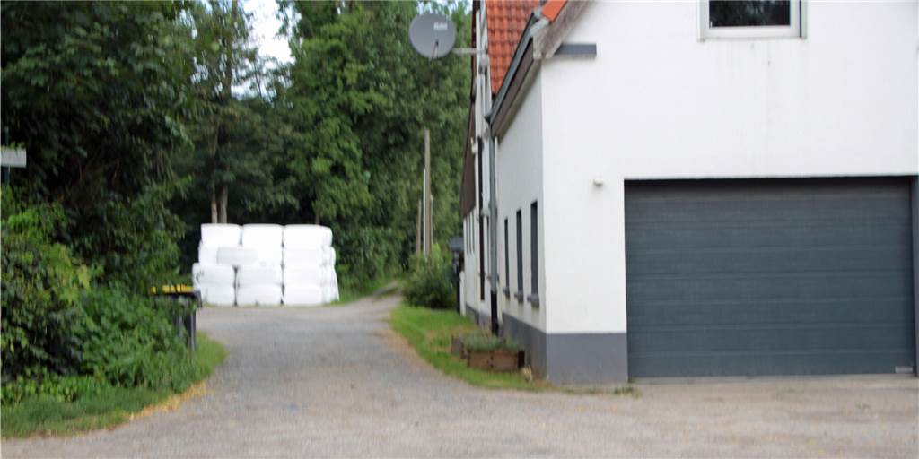 Jeder von uns trägt Mitschuld an dem Tierquälerei-Skandal Hinter diesem Gebäude befindet sich die Viehsammelstelle, in der Tiere brutal misshandelt wurden.