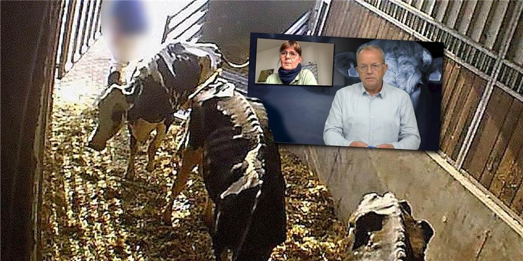 Ministerium zum Tierquäler-Skandal: Betrieb in Werne hatte gar keine Genehmigung Ministerium zum Tierquäler-Skandal: Betrieb in Werne hatte gar keine Genehmigung