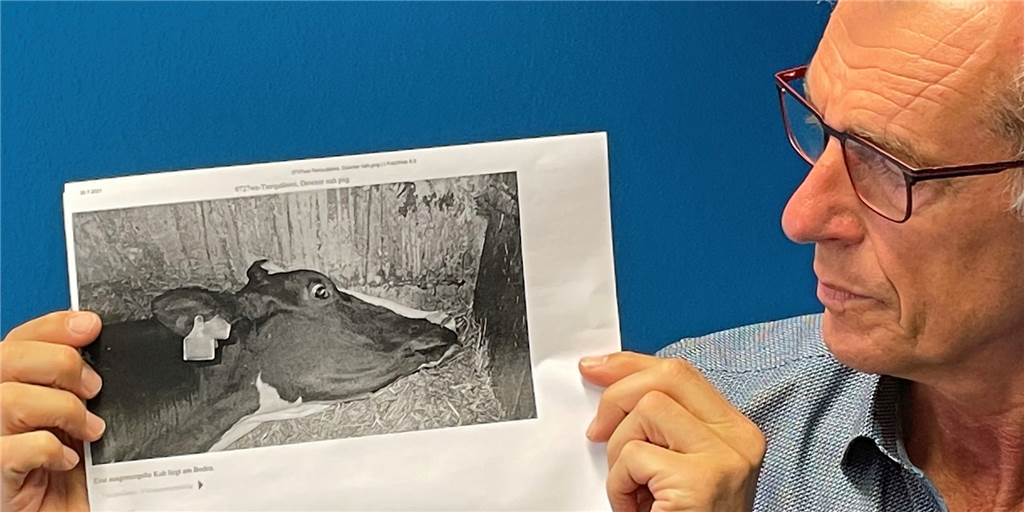 Im Video: 1 Minute über... die fatale Lehre aus dem Tierquälerei-Skandal Kommentator Jörg Heckenkamp mit dem Foto einer entkräfteten Kuh, das die Soko Tierschutz zur Verfügung gestellt hat.
