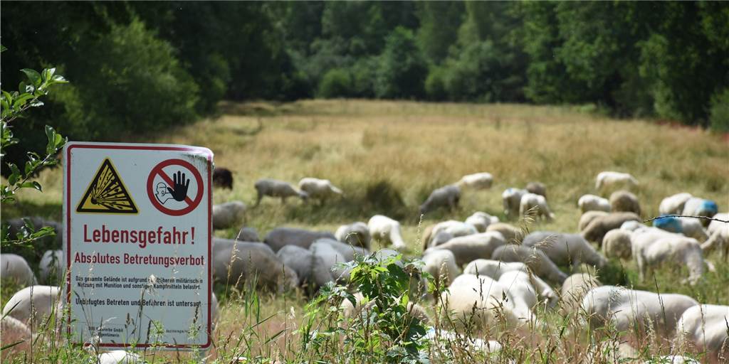 Borkenberge: Erstes Projekt im Moor vor Abschluss - offene Fragen bleiben Borkenberge: Erstes Projekt im Moor vor Abschluss - offene Fragen bleiben