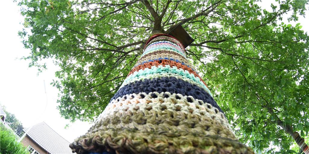 Umhäkelte Bäume und Hortensie im Kochtopf: Der Garten von Josefa Lobeck Die Stämme der Bäume in ihrem Garten hat die Nordkirchenerin Josefa Lobeck umhäkelt.