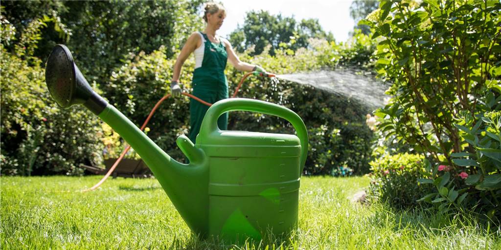Kritik an Gartenwasserplänen des EUV: „Engagement der Bürger würde bestraft“ Wer Frischwasser im Garten vergießt, muss dafür keine Abwassergebühr bezahlen. Dieses Vorgehen will der EUV nun erschweren, indem er den teuren Festeinbau von Gartenwasserzählern durch Fachleute vorschreibt.