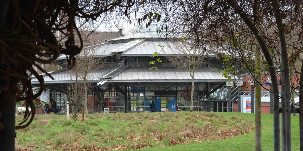 Dortmunder Stadtgarten bekommt Denkmal einer wichtigen Dortmunder Frau Auf dieser Wiese vor der Stadtbahnstation Stadtgarten und neben dem Rathaus soll das Denkmal stehen.