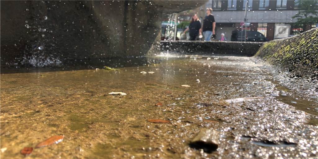 Castrop-Rauxel ist wunderschön, aber Stadt und EUV müssen sich mehr kümmern Der Reiterbrunnen auf dem Marktplatz in Castrop-Rauxel.