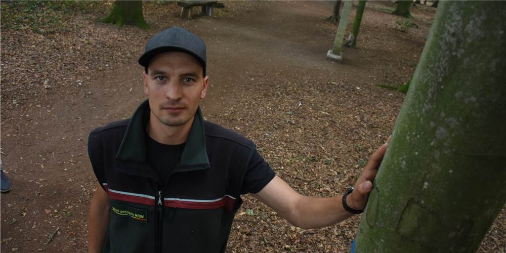 Jetzt kreist die Kettensäge in Pastors Busch - Bäume drohen umzustürzen Revierförster Lukas Effkemann an einem der markierten Bäume, die demnächst gefällt werden müssen. Im Hintergrund ist der Prozessionsweg zu sehen, der mitten durch Pastors Busch führt.