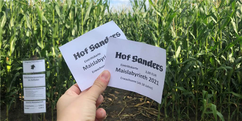 Der Hof Sanders hat ein Maislabyrinth eröffnet. Wir waren da und haben es getestet.