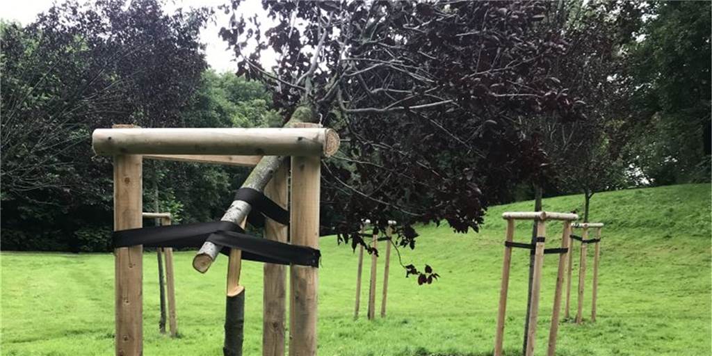 Vandalismus an Gedenkstätte im Goldschmieding-Park: Bäume geköpft Der Baumkreis im Goldschmiedingpark wurde Opfer von Vandalismus. Nur an einem dünnen Strang hing die Krone von Zierpflaumen. Diese Bäume sind nicht zu retten.