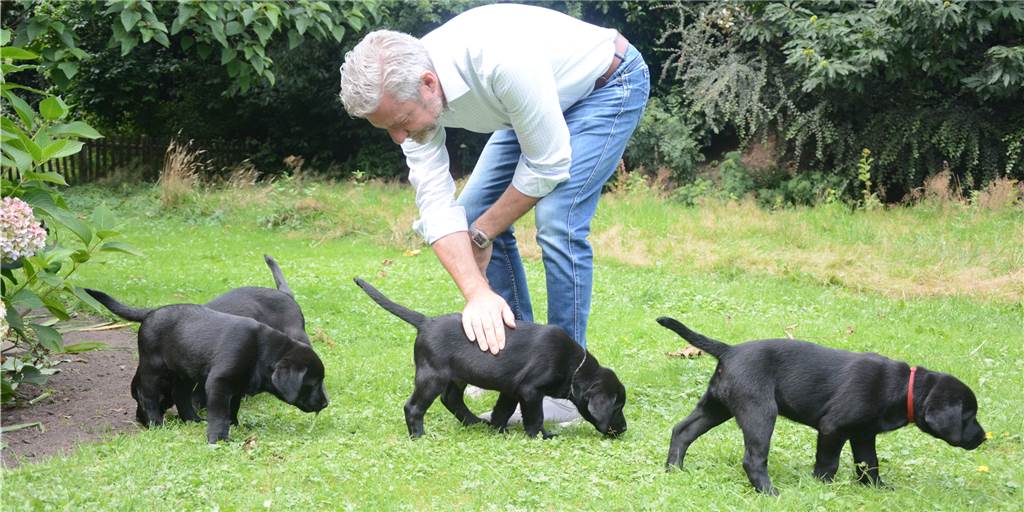 Mit Video - Tierarzt: Mit Mund-zu-Schnauze-Beatmung alles richtig gemacht Hermann Schlichtmann und der Nachwuchs von Labrador-Dame Paula.
