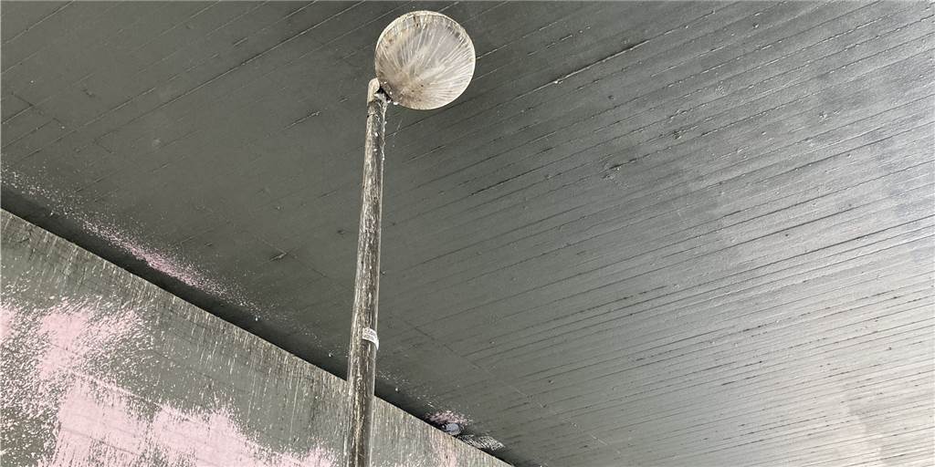 Das Tauben-Problem im A40-Horror-Tunnel wird wohl nie gelöst Die A40-Unterführung in Lütgendortmund hat ein Taubenproblem. Die Autobahn GmbH wollte das beheben - mit mäßigen Erfolg.