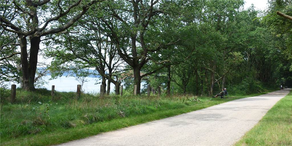 Fördergeld für Straßensanierung bewilligt - Bau der Radwege muss warten Rund um den Stausee sollen die Radwege erneuert werden. Hier am Karl-Homann-Weg fanden bereits erste Arbeiten statt.