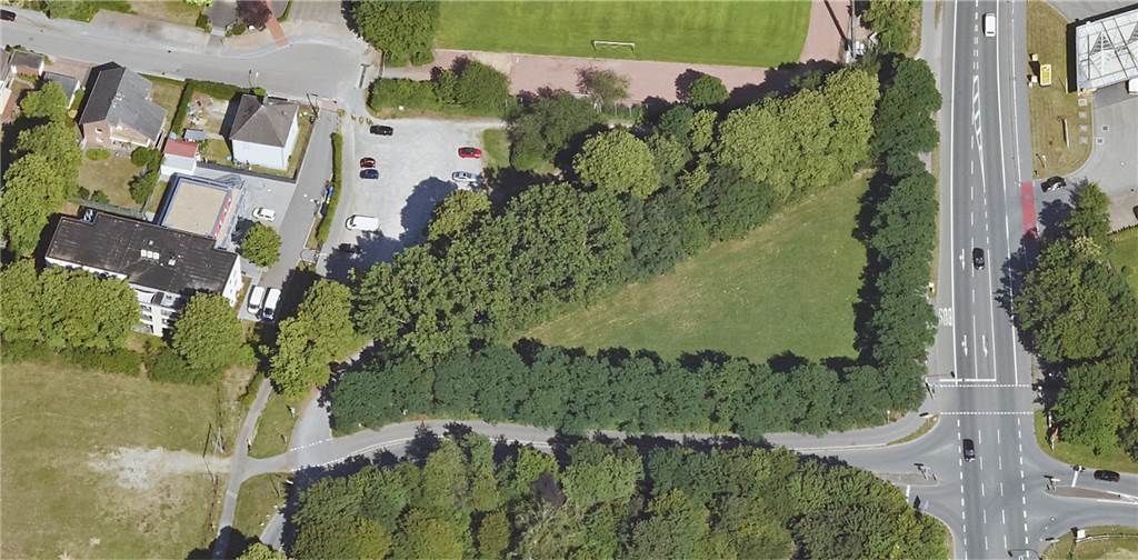 Konkrete Pläne für eine große Hunde-Freilaufwiese in Dorsten Auf dieser Dreiecks-Wiese im Stadtteil Hardt soll eine Hunde-Freilauffläche entstehen.