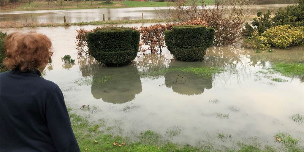 Karte: Diese Häuser und Gebiete in Stadtlohn wären von Hochwasser betroffen Die Berkel hat sich im Februar 2020 am Ginsterweg in den Gärten breit gemacht.