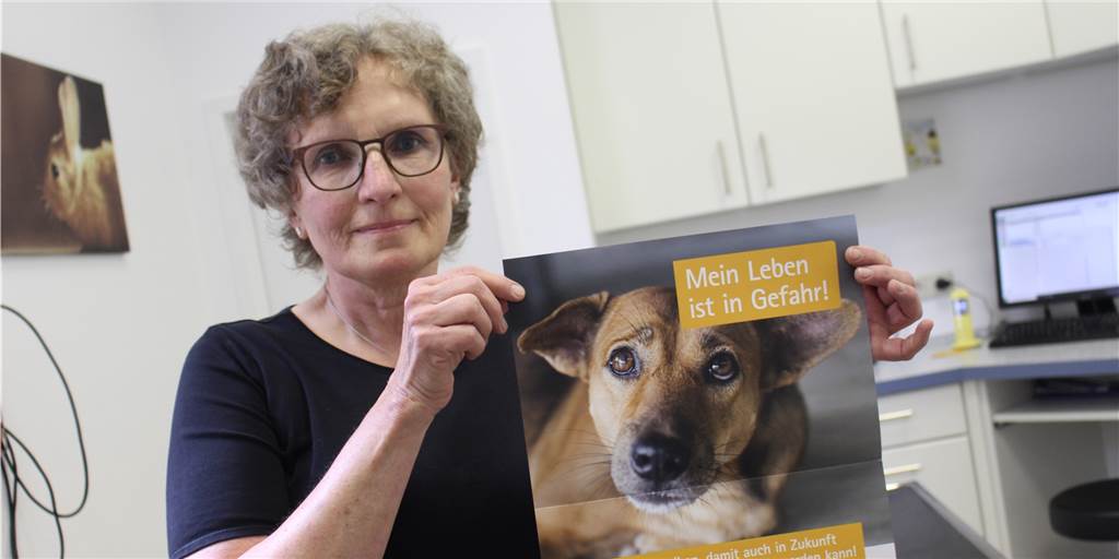 Keine Antibiotika: Dortmunder Tierärztin fürchtet um ihre Patienten Tierärztin Heike Meilus wirbt wie viele ihrer Kollegen für die Teilnahme an der Unterschriften-Aktion gegen das Verbot von Antibiotika für Haustiere.