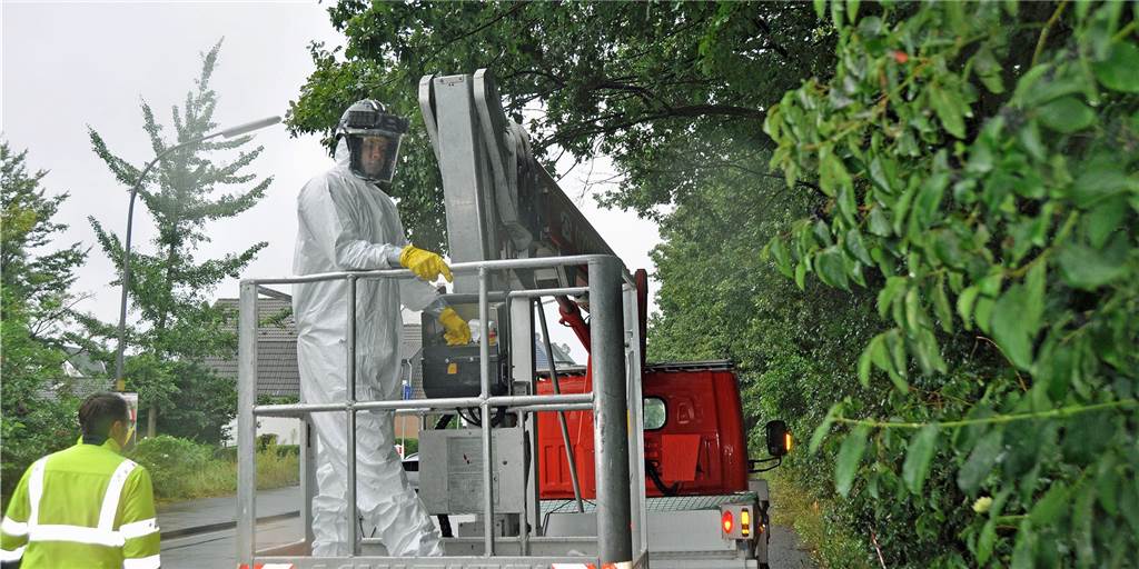 Raupen-Ärger zieht Kreise: Waldbesitzer geht gegen Grünschnitt-Sünder vor Ein Spezialtrupp hat damit begonnen, die Nester des Eichenprozessionsspinners an Bäumen eines Privatwaldes in Beckinghausen zu entfernen. Um die Kosten gibt es Streit.