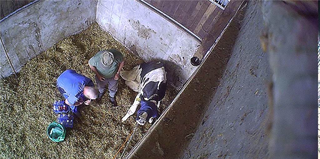 Der Mecke-Skandal und die Rolle der Tierärzte Tierärzte haben entweder weggeschaut, die Zustände geduldet oder vertuscht, glauben die Experten zum Tierquälerei-Skandal in Werne.