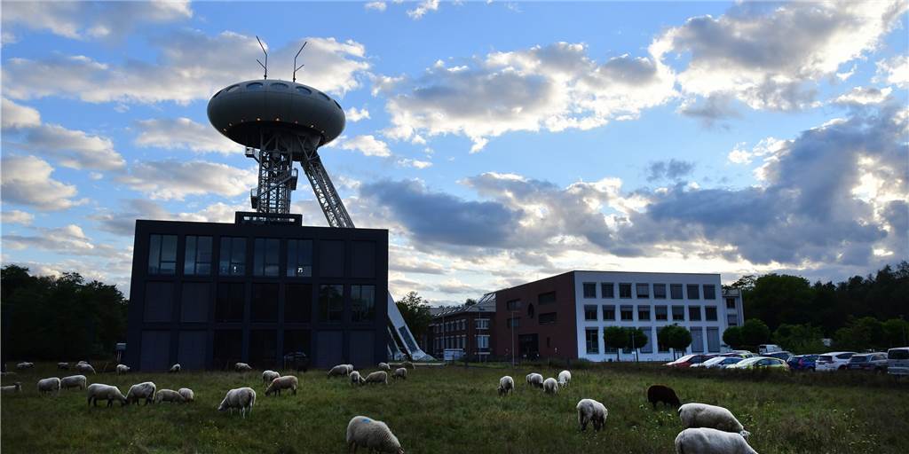 Lüner Wirtschaftsförderung: Aufsichtsratschef Püschel unter Druck Der Aufsichtsrat des Wirtschaftsförderungszentrums Lünen tagte am Mittwoch im Lüntec-Technologiezentrum in Brambauer.