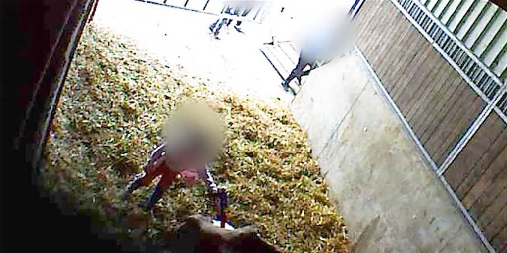 Wie tief kann ein Mensch sinken? Kinder in Werne zum Tierquälen animiert Ein Mädchen schlägt immer wieder mit seiner Wasserpistole auf ein sterbendes Rind ein, tritt auch drauf.