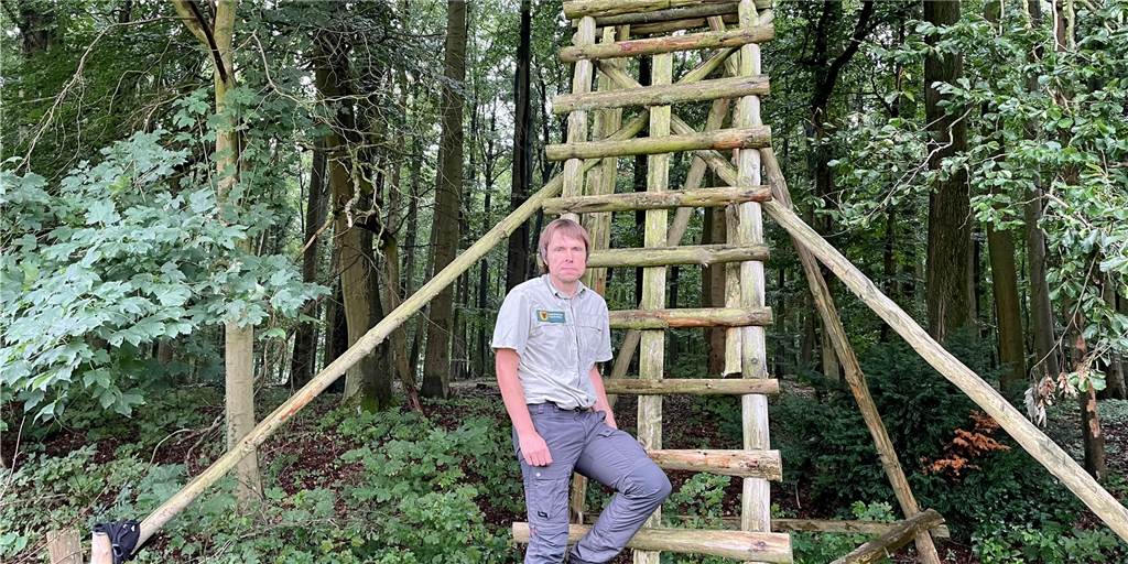 Wildschweine im Wannebachtal: Wie groß ist die Gefahr für Menschen? Torsten Wack leitet den Forstbezirk Dortmund Süd.