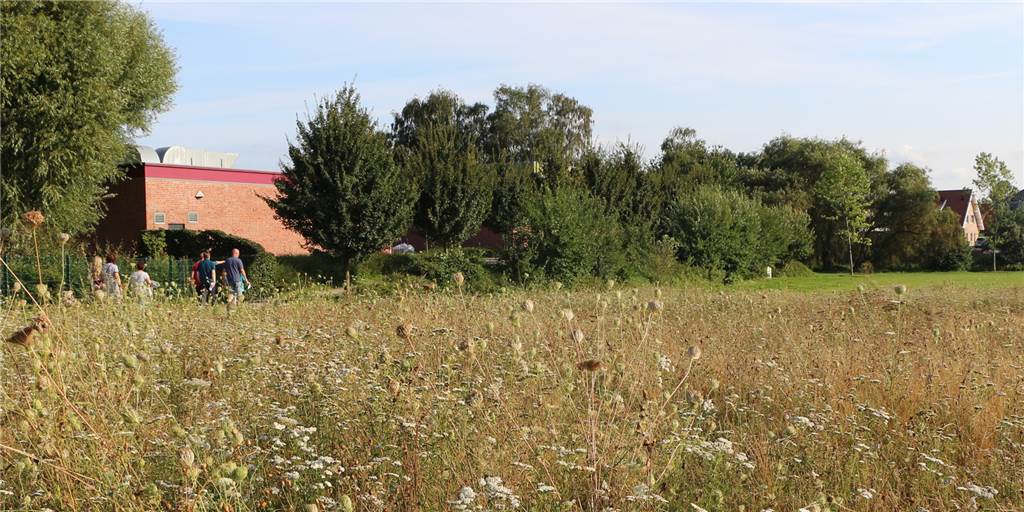 Bürgermeister zur Schlingewiese: Wir haben nicht mit Begeisterung der Anlieger gerechnet Noch ist der Blick auf Jakobi-Halle und Schlingewiese frei, das kann sich bald ändern: Auf dem angrenzenden Grundstück (vorne) soll künftig ein Wohnquartier mit Ein- und Mehrfamilienhäusern entstehen.