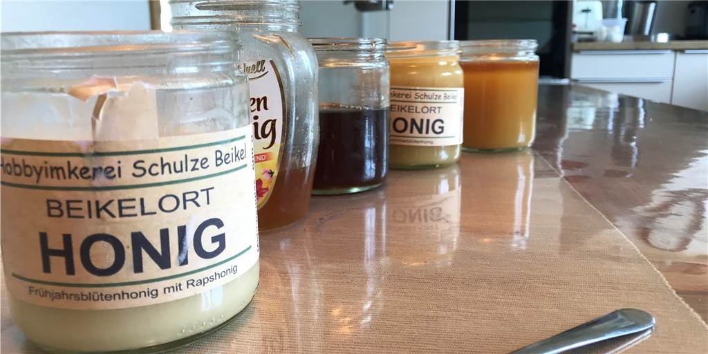 Honig-Reportage: Schmeckt unsere Reporterin den Unterschied heraus? Zuckersüß ging es für unsere Redakteurin beim spontanen Honig-Tasting bei Hobbyimker Antonius Schulze Beikel zu.