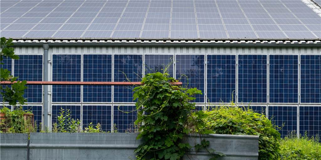 Klimaschutzmanager soll Vreden noch weiter nach vorne bringen Photovoltaikanlagen sind im Industriegebiet Gaxel überall zu sehen. Ein Klimaschutzmanager soll nun schauen, wo in Vreden es weitere Möglichkeiten zum Klimaschutz gibt.