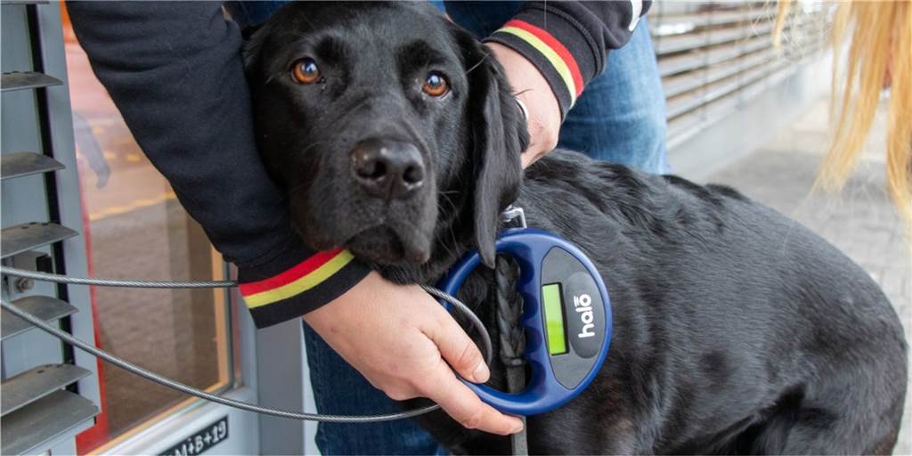 Praxis bestohlen: Diebe sorgen für Frust bei Tierarzt Björn Becker Die Praxis von Björn Becker wurde am zurückliegendem Wochenende beklaut. Der monetäre Wert der Beute ist gering, der Frust um so größer.