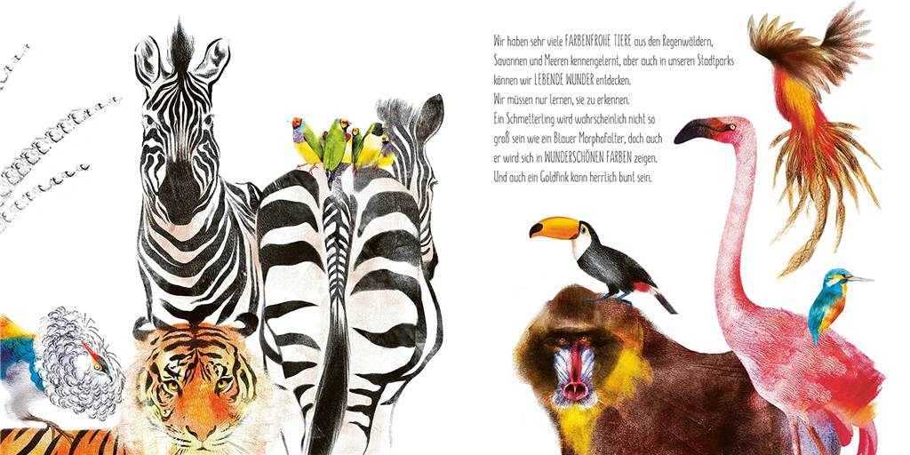 Buch-Tipp: Wer gewinnt den Schönheitswettbewerb der Natur? Die Natur ist knallbunt - "Im Königreich der Farben" versucht zu erklären, warum das so ist.