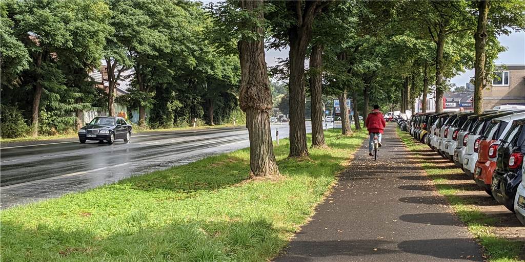 Mit Lasertechnik: Minitransporter prüft schadhafte Radwege in Dorsten Auch der Radweg entlang der L 463 (Gahlener Straße/Königsberger Allee) soll überprüft werden - hier haben die Bauwurzeln für einige Verwerfungen gesorgt.