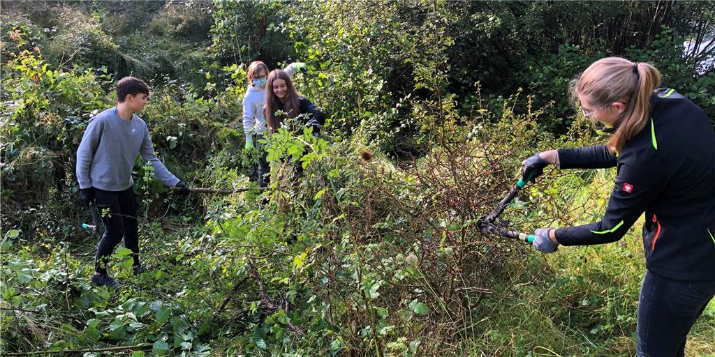 Gesamtschüler entkusseln die Heidelandschaft Gesamtschülerinnen und -schüler halfen am Montag im Naturschutzgebiet Lichtenhagen bei der Pflege der Heidelandschaft.