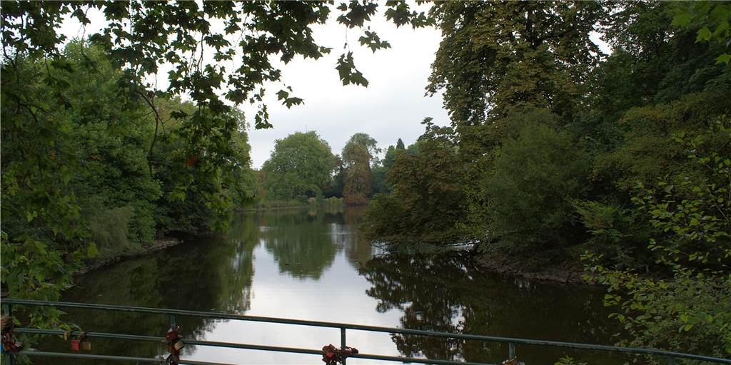 Vermüllt der Rombergpark? „Man muss nur etwas dagegen unternehmen“ Zumindest in einem Punkt waren sich alle Besucher einig: Der Rombergpark ist einer der schönsten Parks Dortmunds.