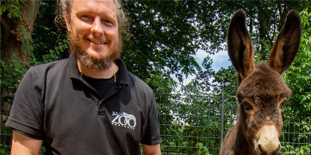 Zoolotse und Zoosprecher Marcel Stawinoga mit dem neuen Publikumsliebling des Dortmunder Zoos: Eselfohlen Hajo.
