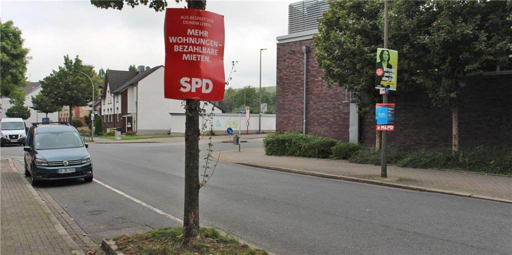 SPD nimmt Plakate von Bäumen – Regel-Interpretation in anderem Stadtteil Entgegen der Vorschriften hing am Donnerstag (16.9.) das SPD-Wahlplakat weiterhin an einem Baum an der Huckarder Allee.