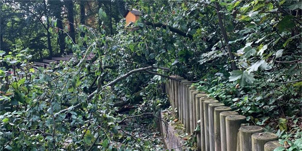 Umgestürzte Bäume, zerstörtes Requisitenlager: Naturbühne bricht Saison ab Ende August ist erneut ein Baum auf das Gelände der Naturbühne gestürzt, dieses Mal oberhalb der Bühne. Nun wurde die Saison abgesagt.