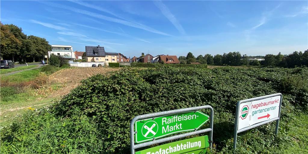 Auf diesem Acker an der Ecke Krumme Meer/Dorstener Straße könnte die Stadt einen neuen Kindergarten bauen.