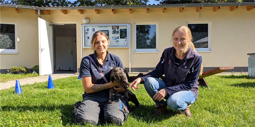 Viele Abgabeanfragen im Tierheim - Familien mit „Corona-Hunden“ überfordert Marina Hinz (r.) und Tierpflegerin Janina Hahn merken, dass sich in der Pandemie viele Menschen einen Hund angeschafft haben, ohne sich beispielsweise Gedanken über die richtige Rasse zu machen.