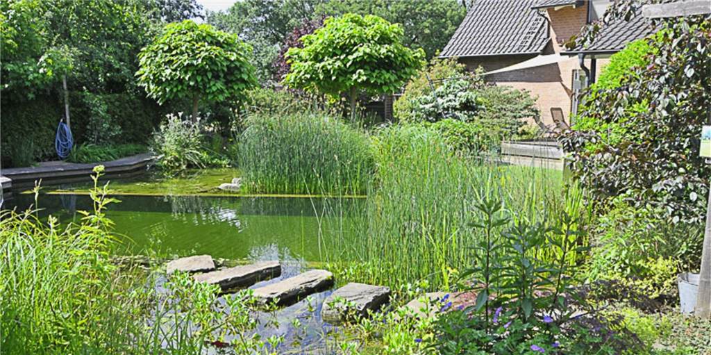 WDR-Gartenzeit: Toller Garten aus Dorsten wird landesweit bekannt Der Garten der Familie Demmer ist ein wahres Prachtstück.