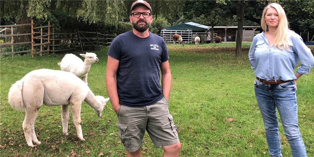 Tierische Tröster: Wie Alpakas trauernde Kinder und Familie aufbauen Martina Hosse-Dolega und Daniel Hischke bieten tiergestützte Trauerbegleitung und hoffen auf finanzielle Unterstützung durch eine Spendenaktion.