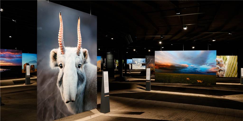 180 spektakuläre Naturfotos zeigen das zerbrechliche Paradies Erde 180 spektakuläre Naturfotos zeigen das zerbrechliche Paradies Erde